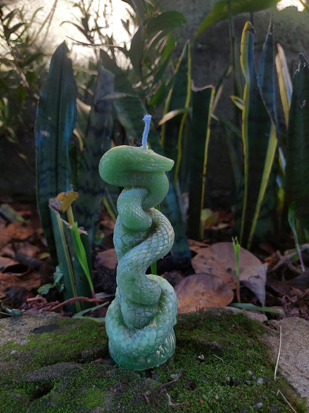 Velas Veneficus ciganus 🔮🪬