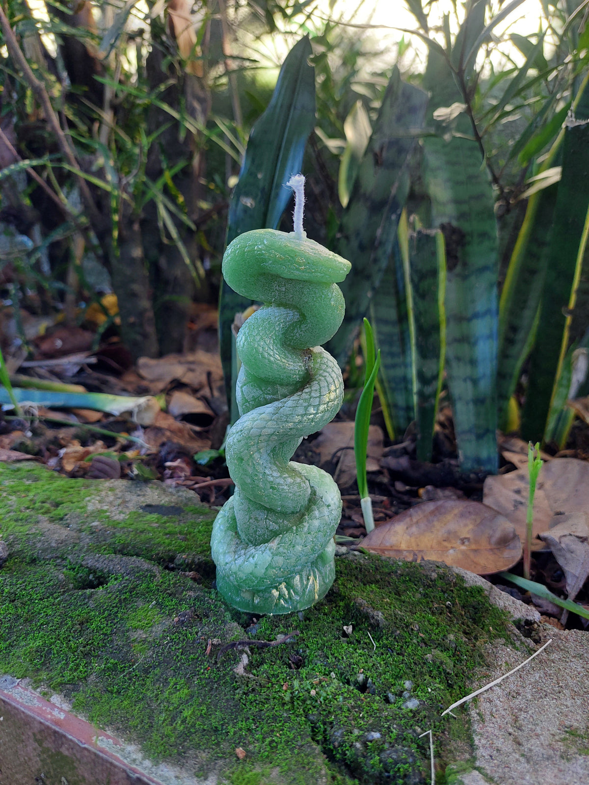 Velas Veneficus ciganus 🔮🪬